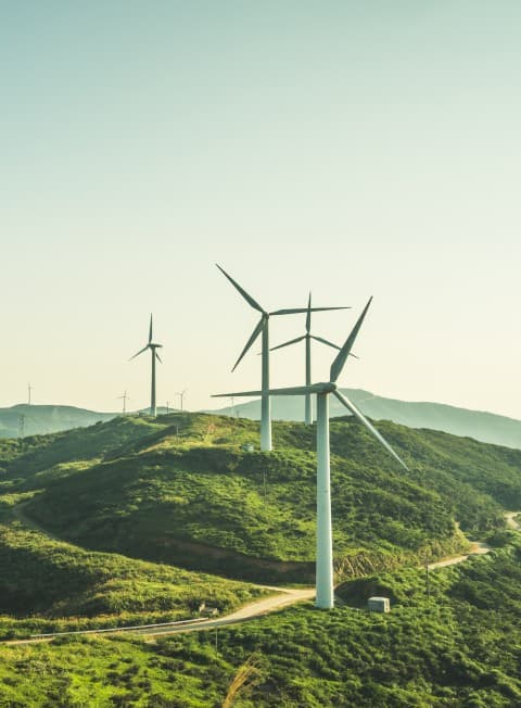 Sustainability
Initiatives